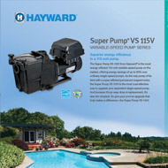 Hayward Super Pump VS
